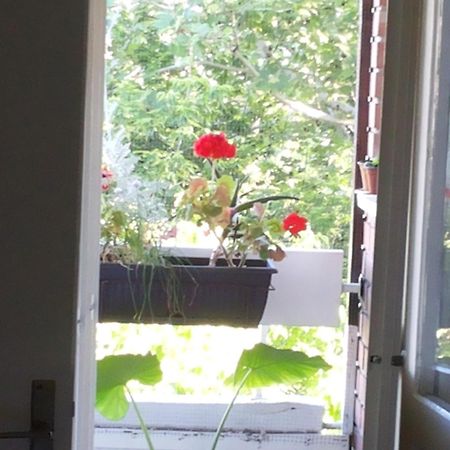 B&B Girasole Νόβι Σαντ Δωμάτιο φωτογραφία